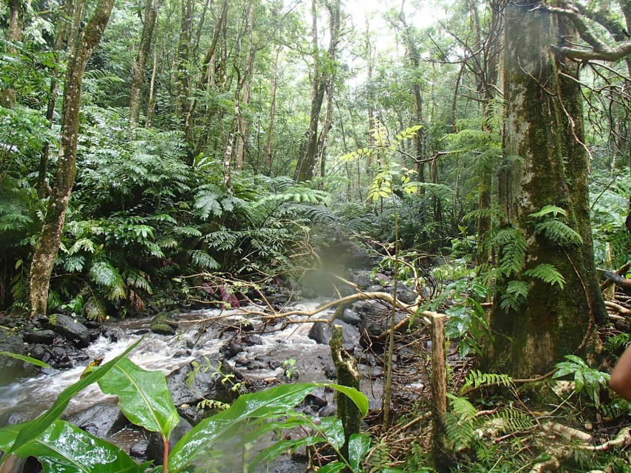 Villa Vaiana Eurl Vaiana Faratea Paopao Bagian luar foto